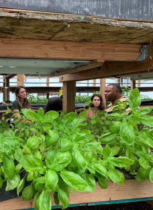 Aquaponic Farm Tour